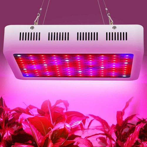 300w led grow light