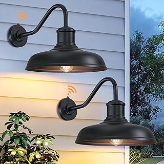 Dusk to Dawn Outdoor Gooseneck Barn Light, 2-Pack