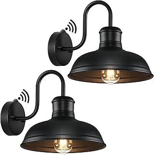 2-Pack Outdoor Wall Sconces, Gooseneck Barn Light
