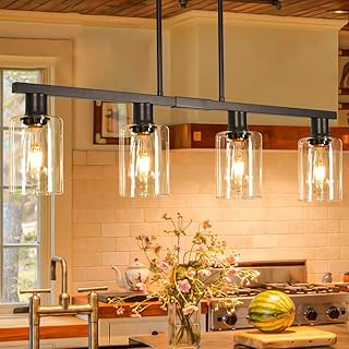 4-Light Black Farmhouse Chandelier