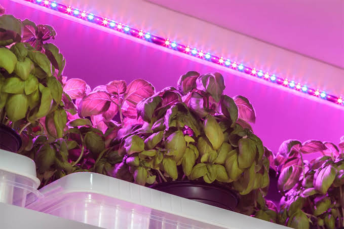 Led grow lights