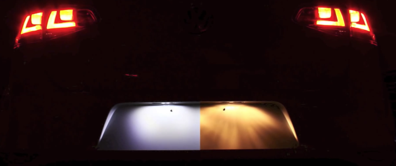 11 Best LED License Plate Lights (2025 Review Guide)