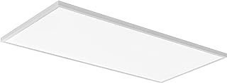 Lithonia 2x4 LED Flat Panel Light, 4000 LM, Switchable CCT