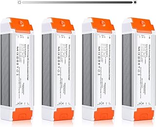 60W Dimmable LED Driver for Holiday Strip Lights (4 Pack)