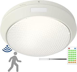 12 Inch Sensor LED Canopy Light w/Remote, 30W, Waterproof, Dimmable