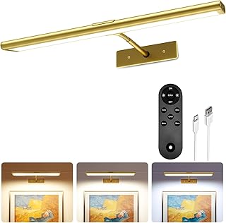 EZVALO Wall Picture Light, Rechargeable Wireless LED Art Light, Dimmable (Gold)