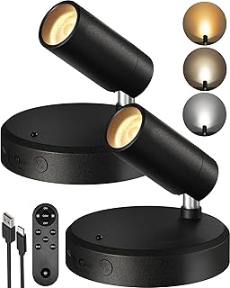 EZVALO Indoor Spotlights with Remote, Rechargeable Art Lights (Black, 2 Pack)