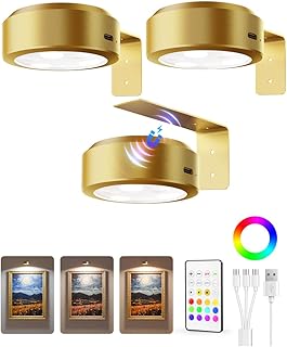 EZVALO Wall Picture Lights, Rechargeable Magnetic LED Lights, Remote Dimmable (3 Pack)