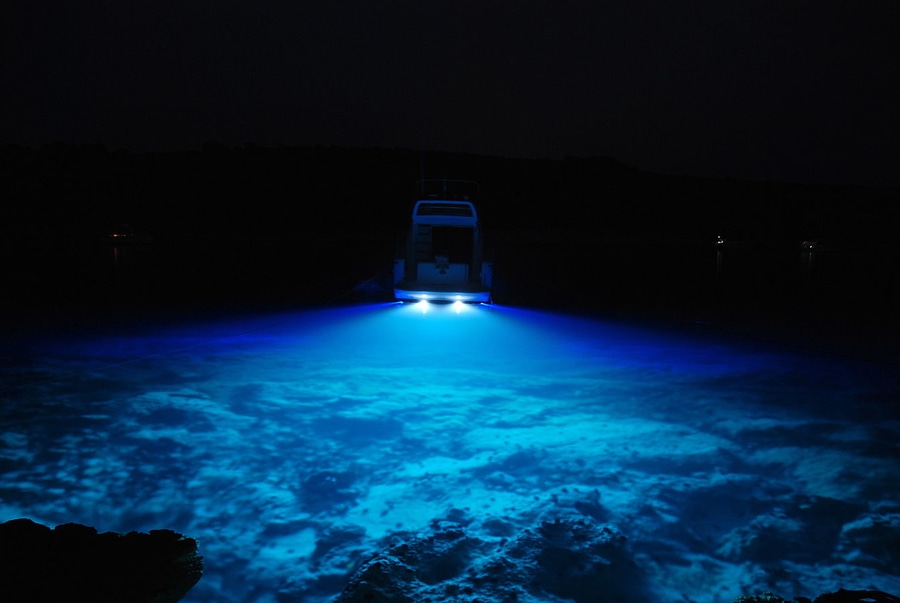 Best Underwater Lights: Brighten Your Pool and Pond with Style